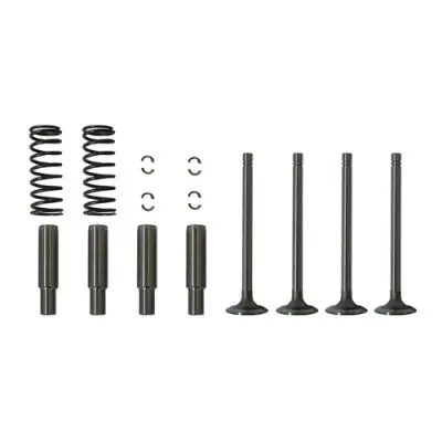 Valve Train Kit