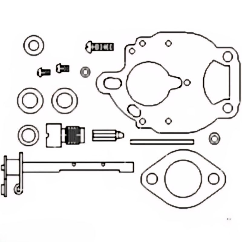 Basic Zenith Carburetor Kit
