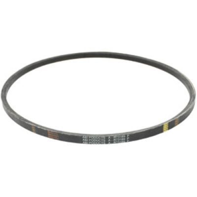 Compressor/ Alternator Belt