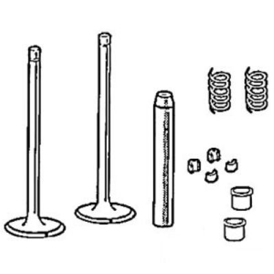 Intake Valve L4 Engines