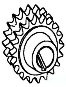 Right Hand Drive Sprocket