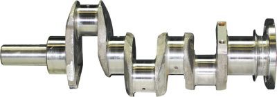 Crankshaft with Rope Seal