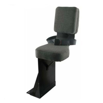 Buddy Seat