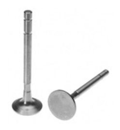 Exhaust Valve