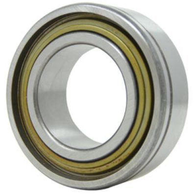 Disk Bearing