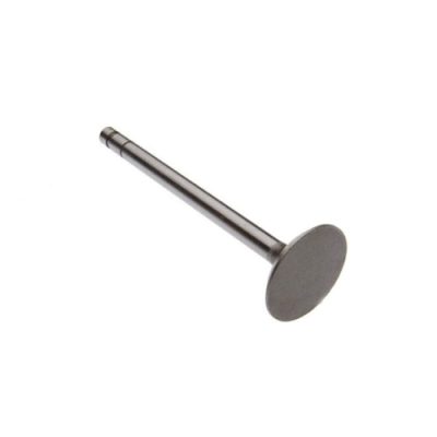 Intake Valve