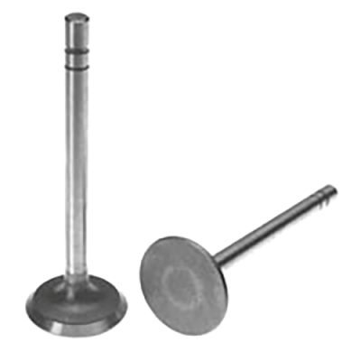 Exhaust Valve