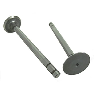 Intake Valve