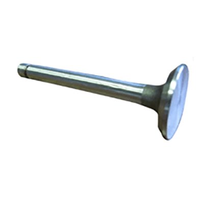 Intake Valve