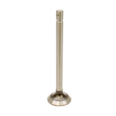Exhaust Valve