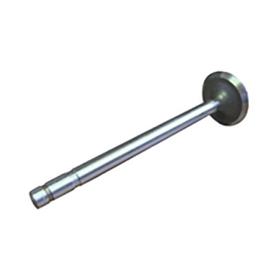 Intake Valve