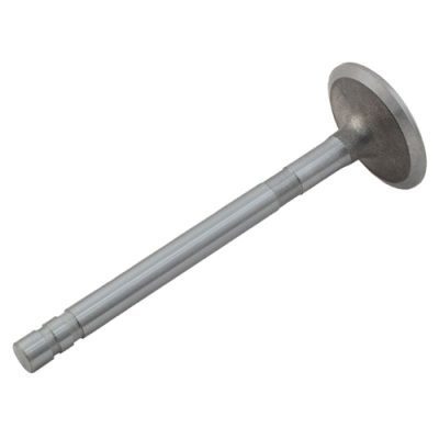 Intake Valve