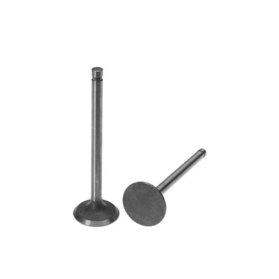 Intake Valve