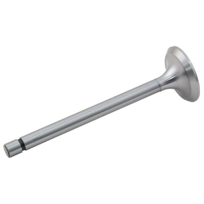 Intake Valve