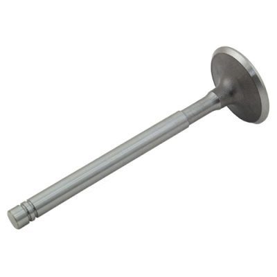 Intake Valve