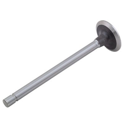 Intake Valve