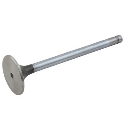 Intake Valve