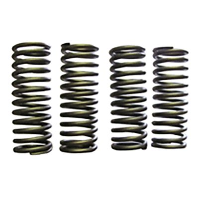 Valve Spring
