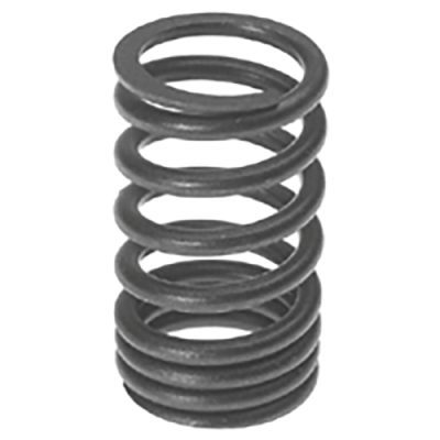 Valve Spring