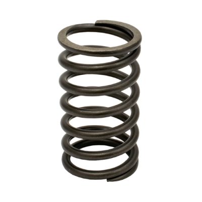 Valve Spring