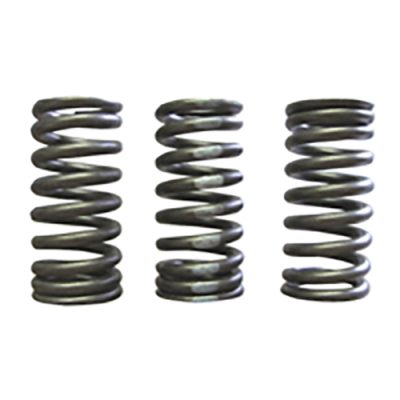 Valve Spring