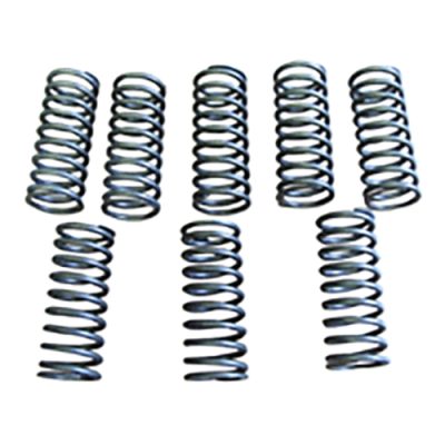 Valve Spring