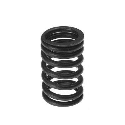 Valve Spring