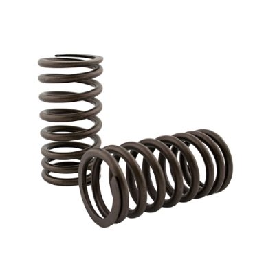 Valve Spring