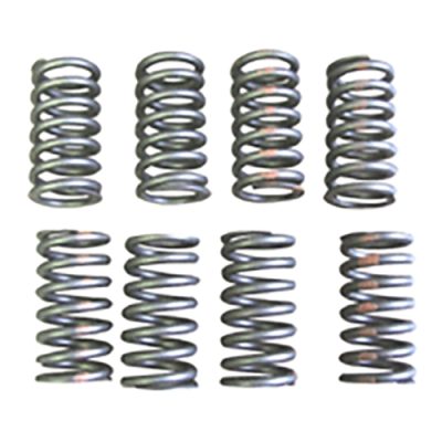 Valve Spring