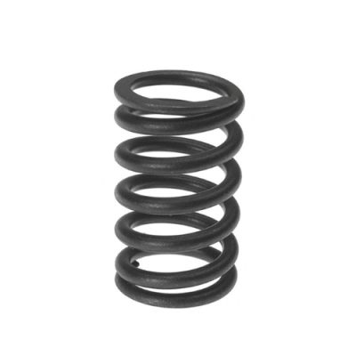 Valve Spring