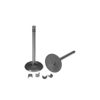 Intake Valve