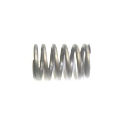 Valve Spring