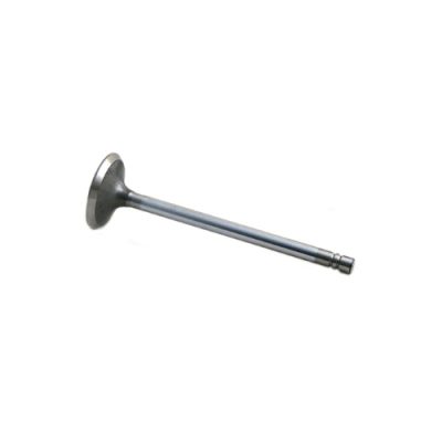 Intake Valve