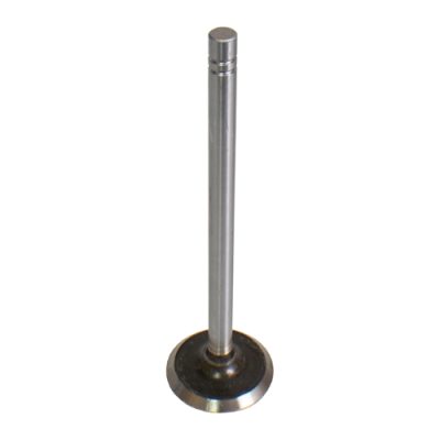 Exhaust Valve