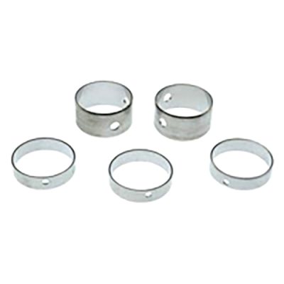 Cam Bearing Set