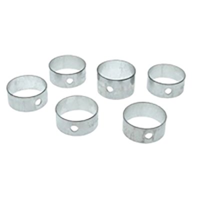 Cam Bearing Set